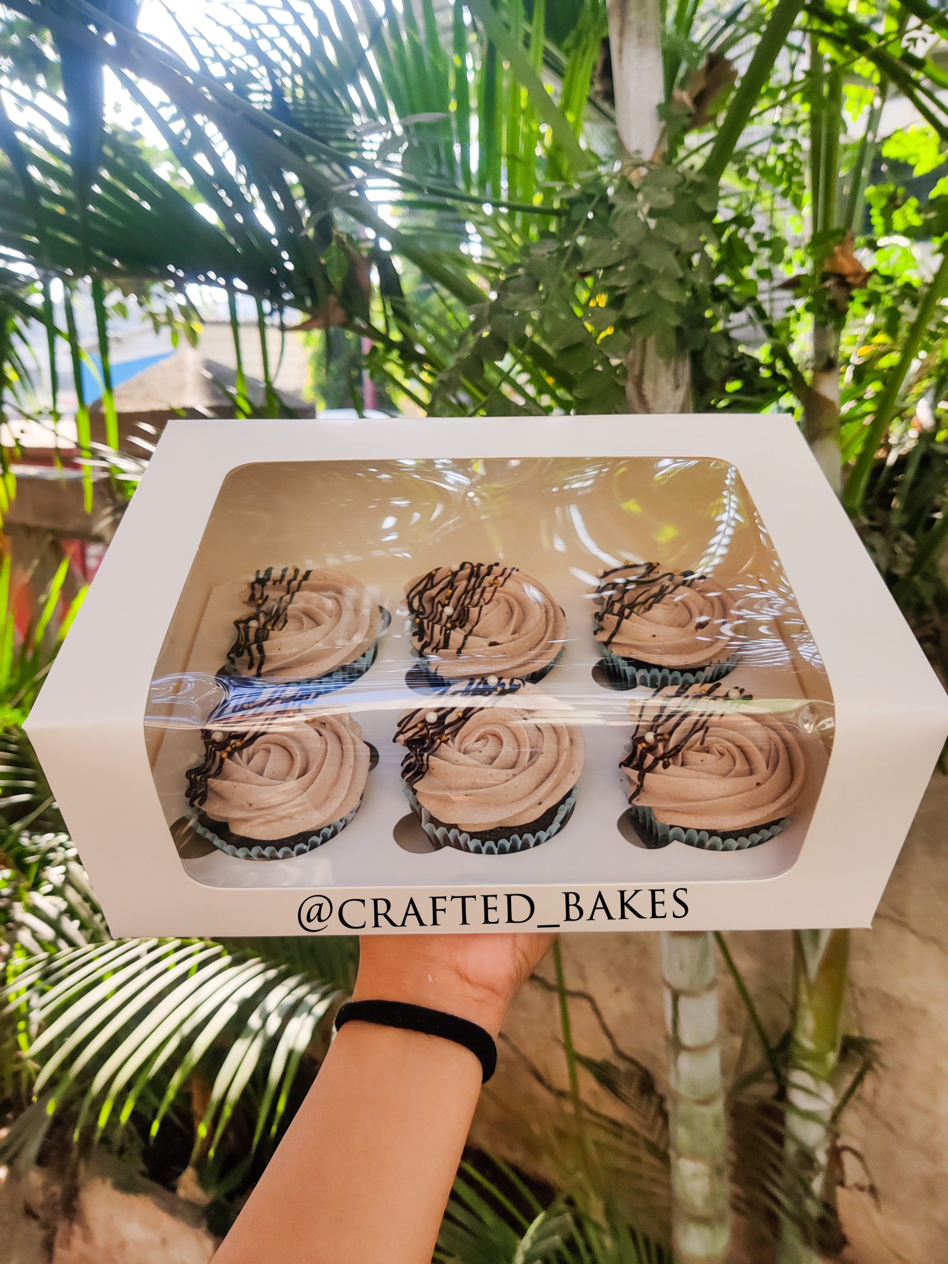 Box of 6 assorted Chocolate Cupcakes In Pune