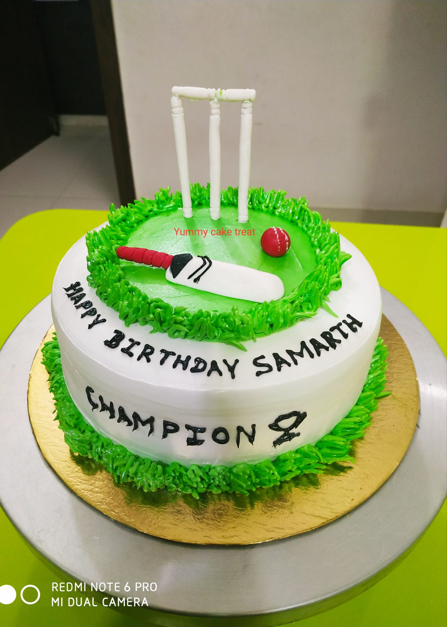 Cricket Theme Cake In Mumbai | CakExpo